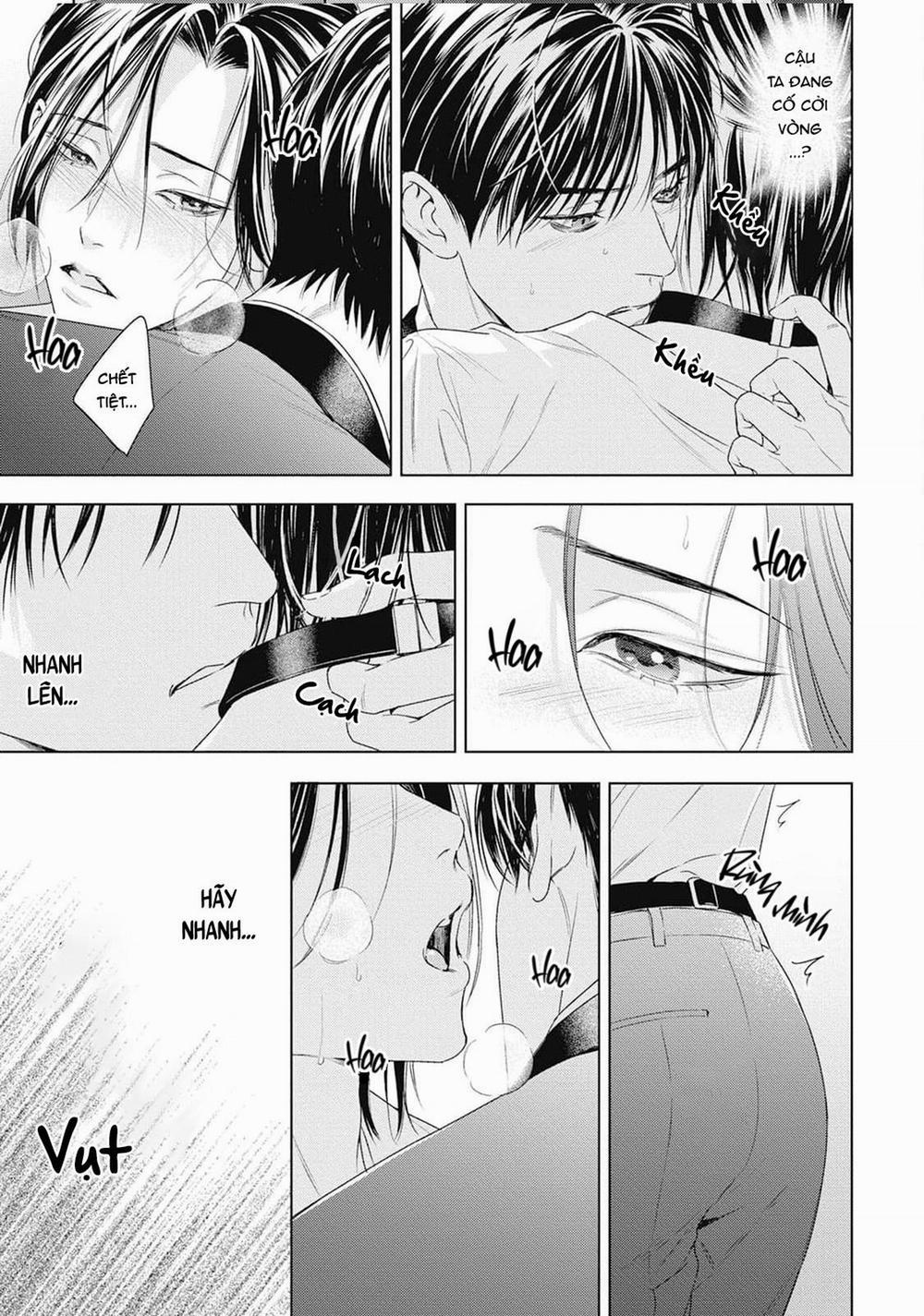 Hòa thanh dưới ánh nến hoa cùng tình yêu của Omega 3 trang 9