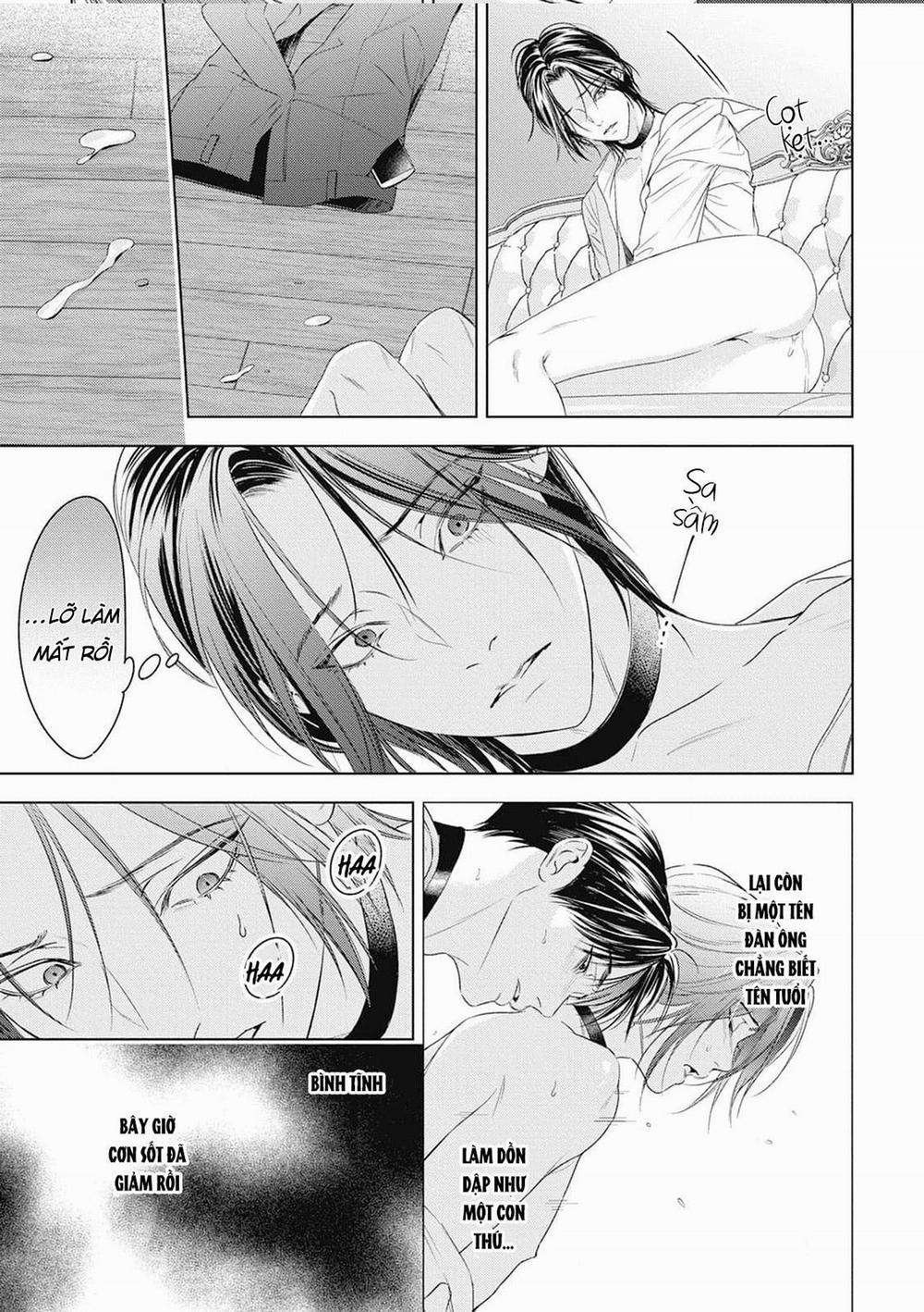 Hòa thanh dưới ánh nến hoa cùng tình yêu của Omega 4 trang 3