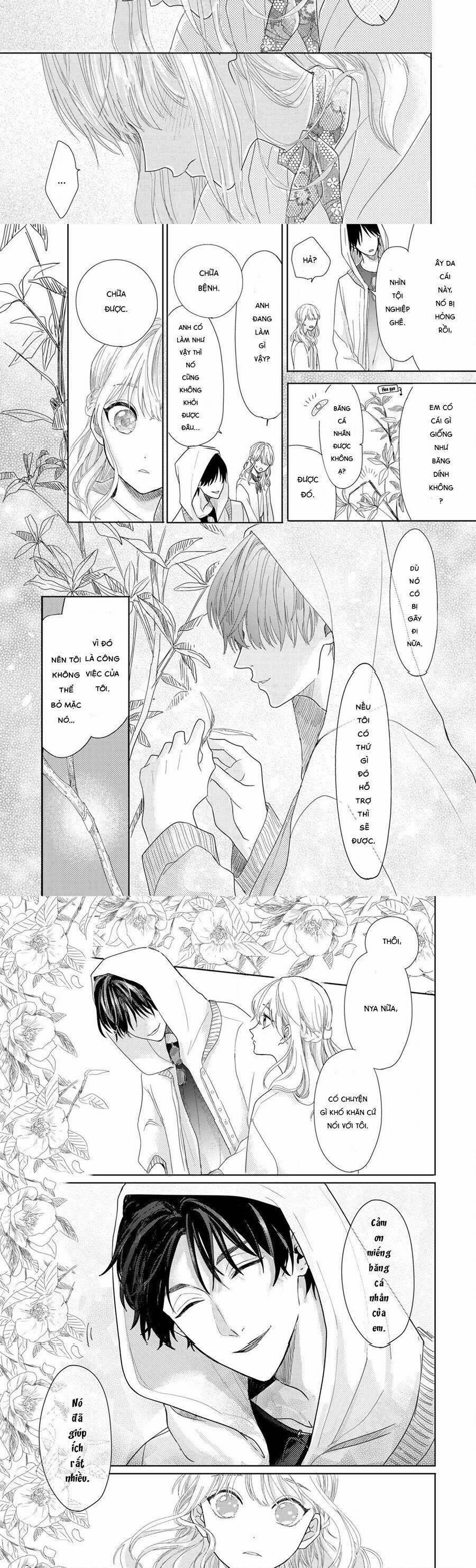 Hoa Trà Đợi Xuân Nở Yêu Thương 1 trang 11