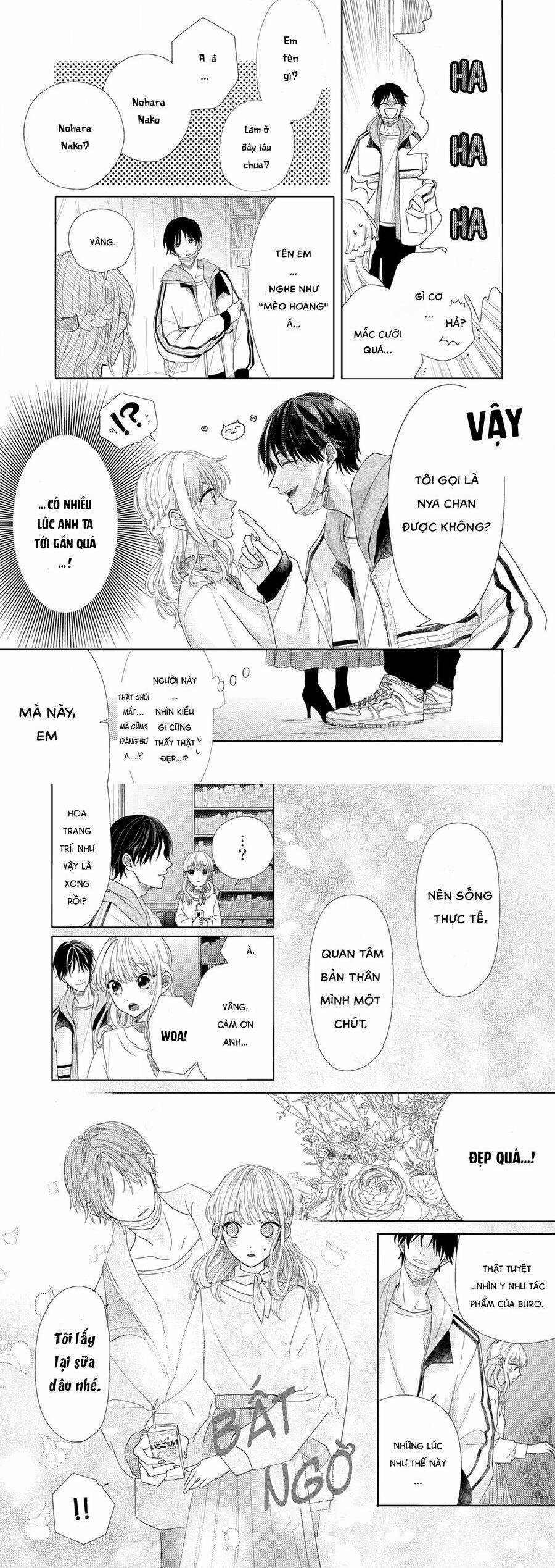 Hoa Trà Đợi Xuân Nở Yêu Thương 1 trang 6