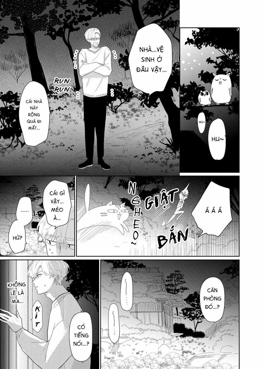 Hoa Trà Đợi Xuân Nở Yêu Thương 12 trang 36