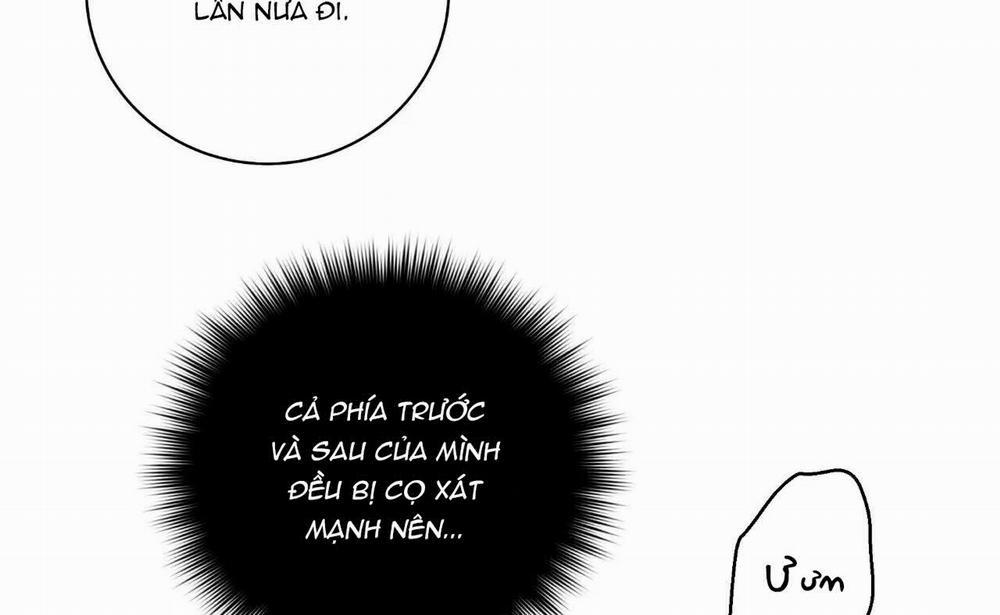 Hoa Và Gươm 23 trang 24