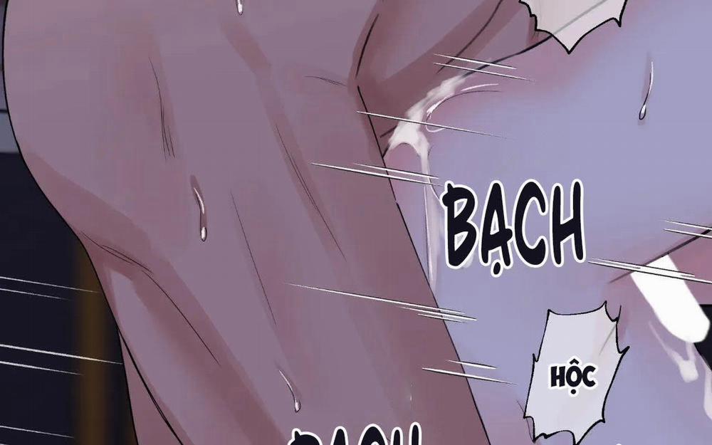 Hoa Và Gươm 24 trang 44