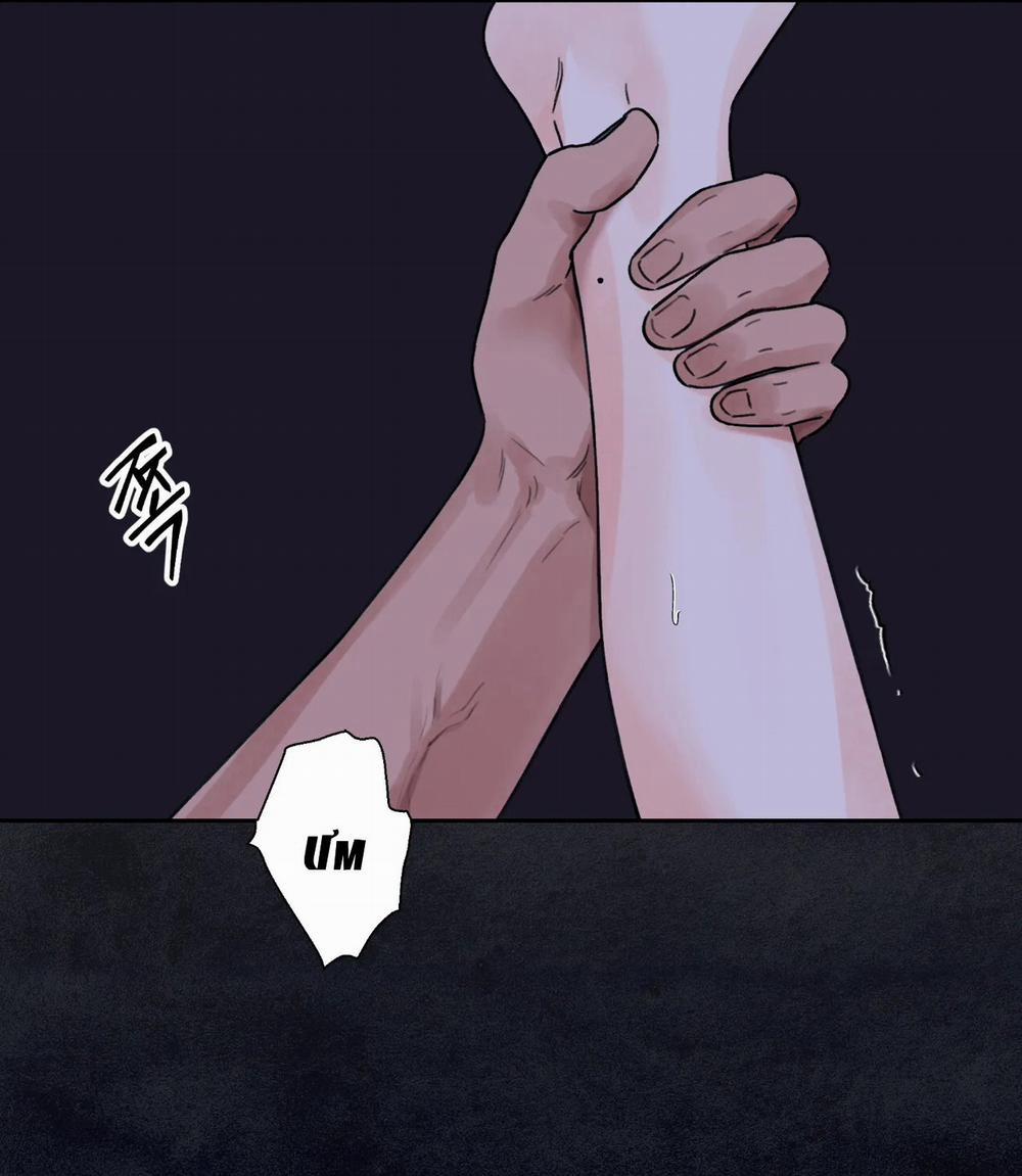 Hoa Và Gươm 26.2 trang 8