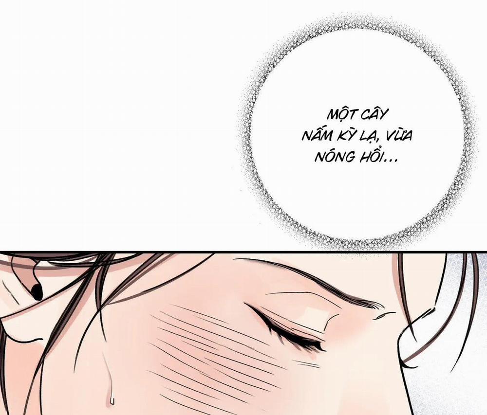 Hoa Và Gươm 28 trang 24