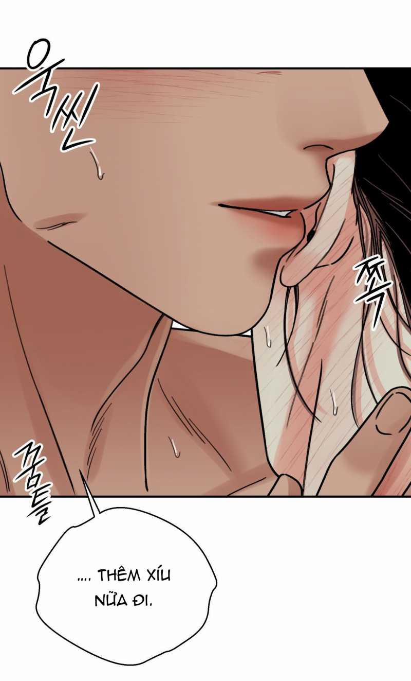 Hoa Và Gươm 61.1 trang 21