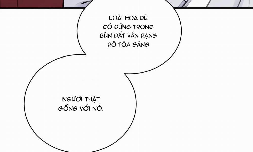 Hoa Và Gươm 7 trang 134