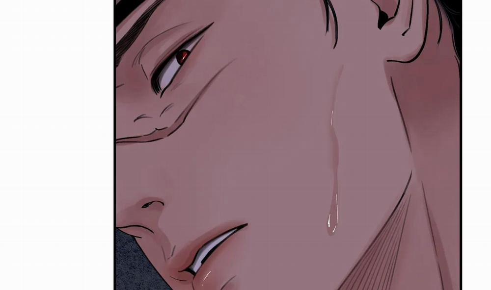 Hoa Và Gươm 9 trang 108