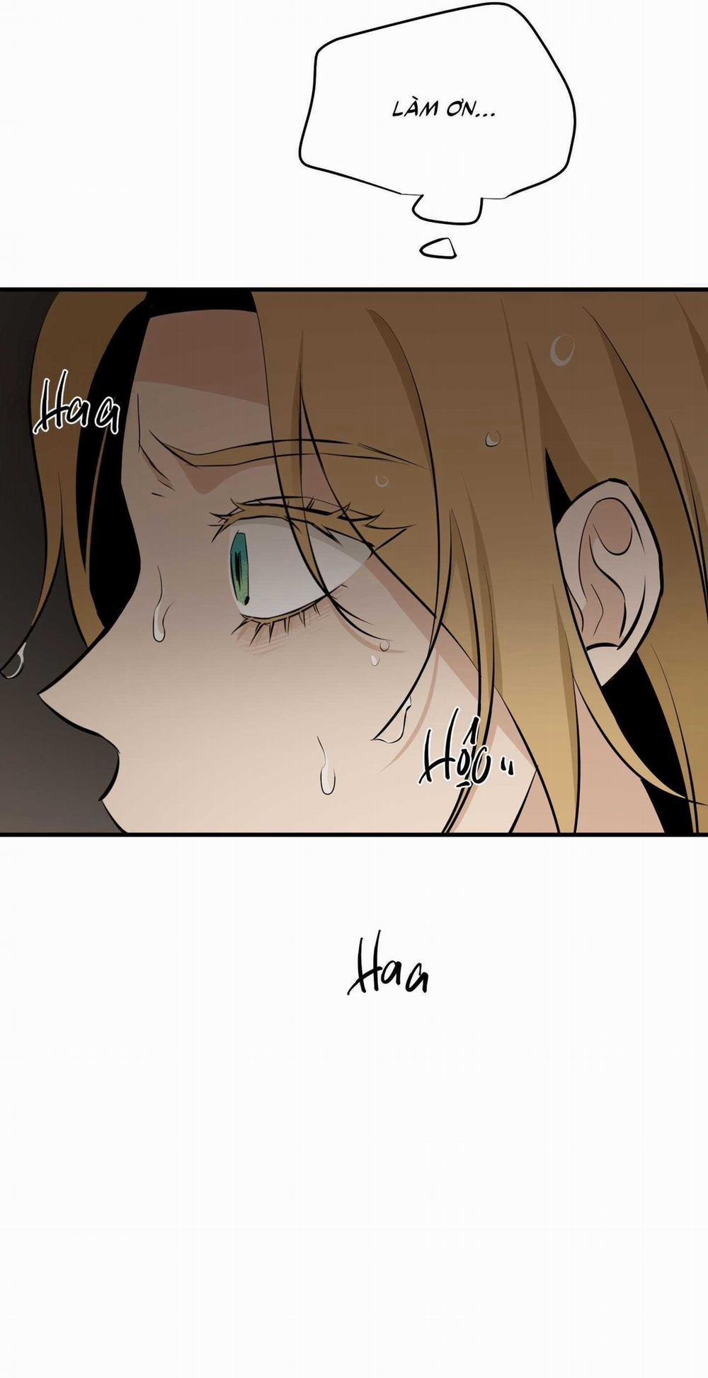 Hoa Vô Danh 17 trang 12