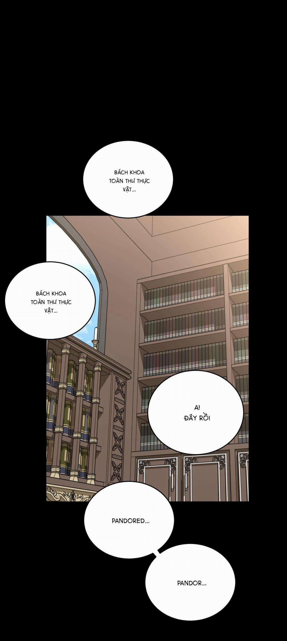 Hoa Vô Danh 2 trang 40