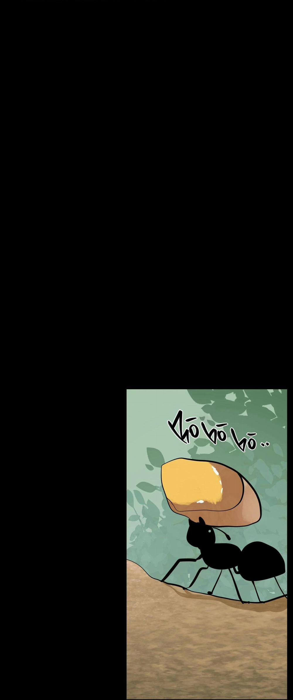 Hoa Vô Danh 3 trang 3