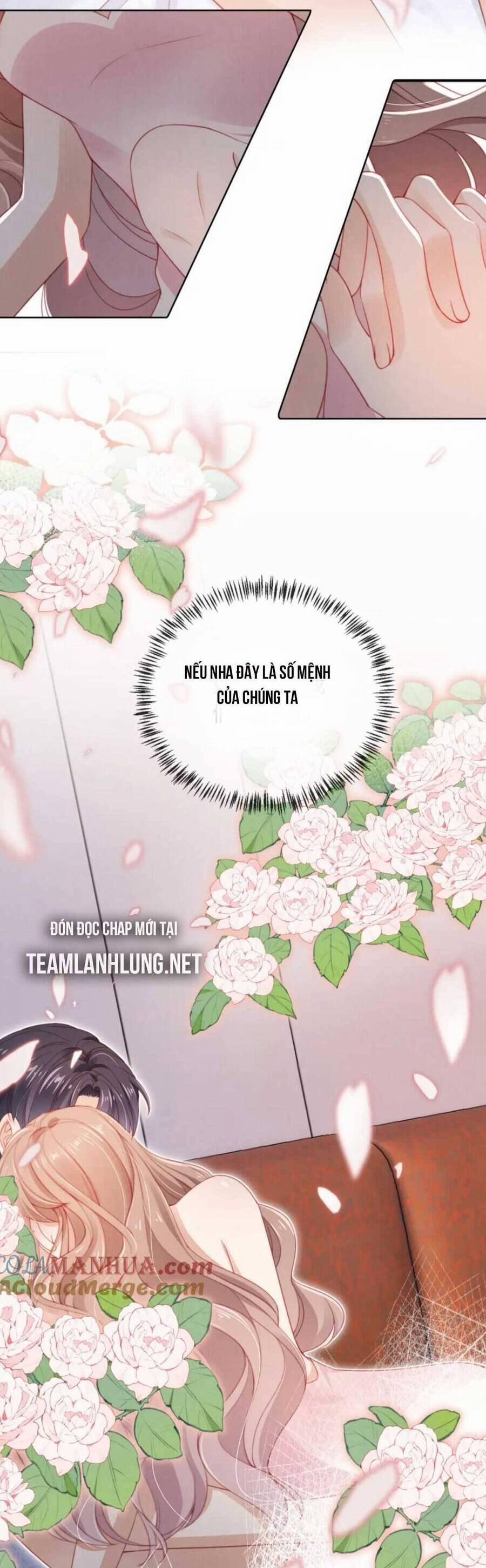 Hoắc Thiếu Lại Phải Theo Đuổi Vợ Yêu Rồi 30 trang 12