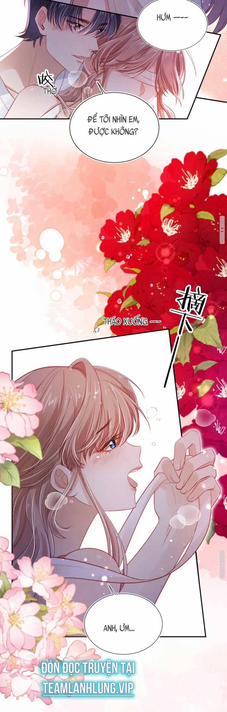 Hoắc Thiếu Lại Phải Theo Đuổi Vợ Yêu Rồi 39 trang 7