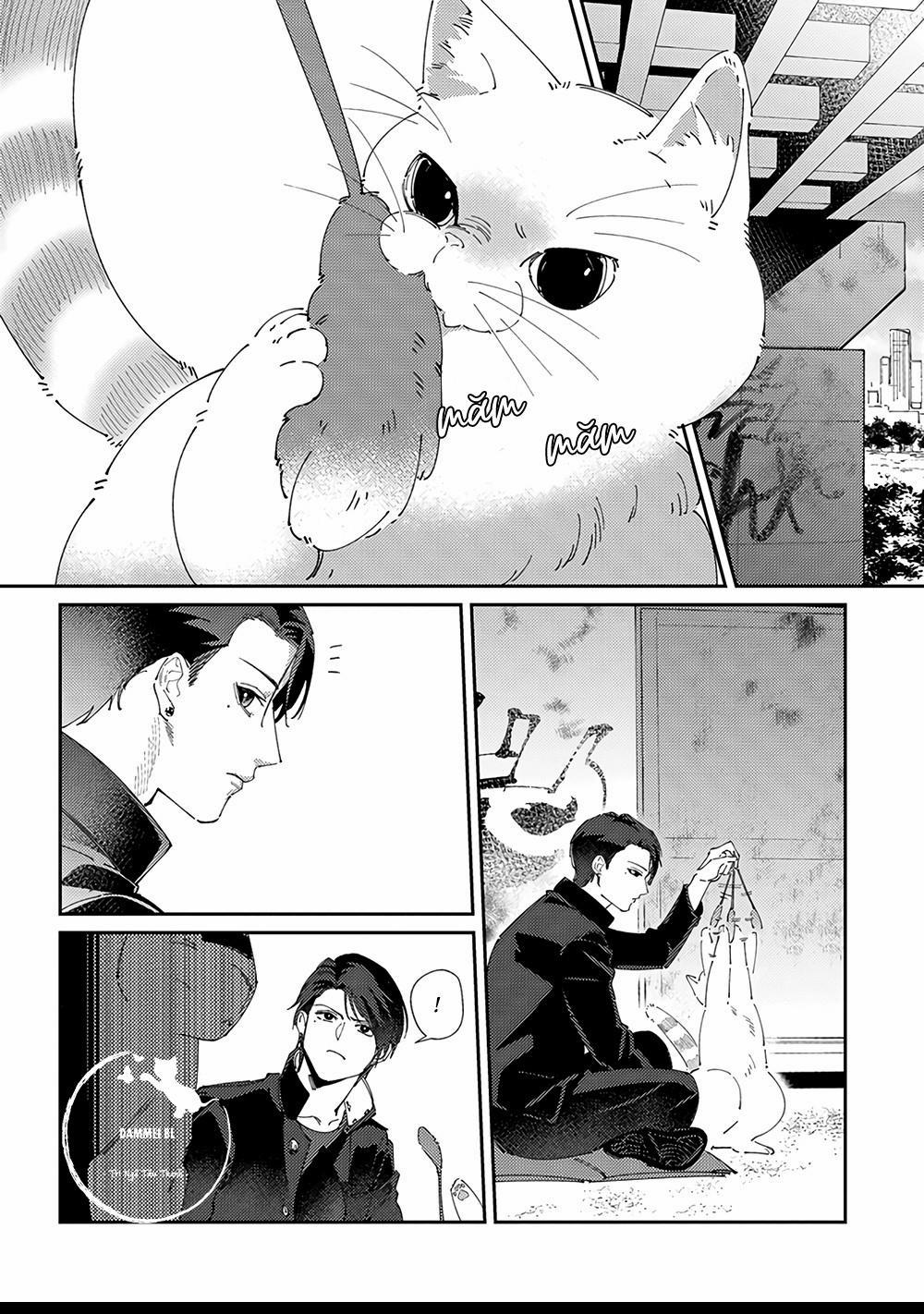 Hoàn cảnh nhà shima chan 3 trang 6