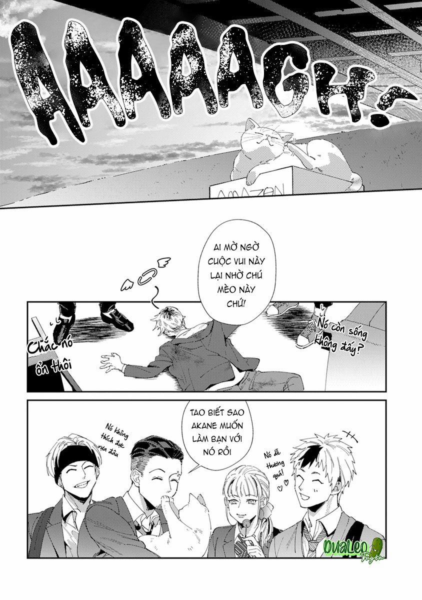 Hoàn cảnh nhà shima chan 5 trang 28