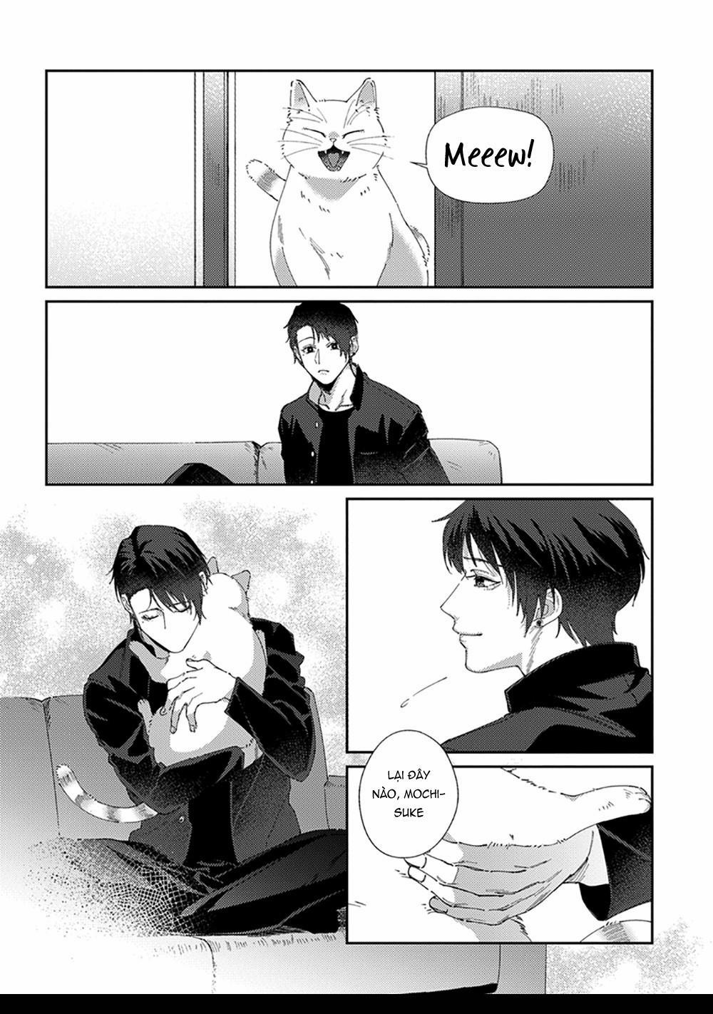 Hoàn cảnh nhà shima chan 6 trang 8