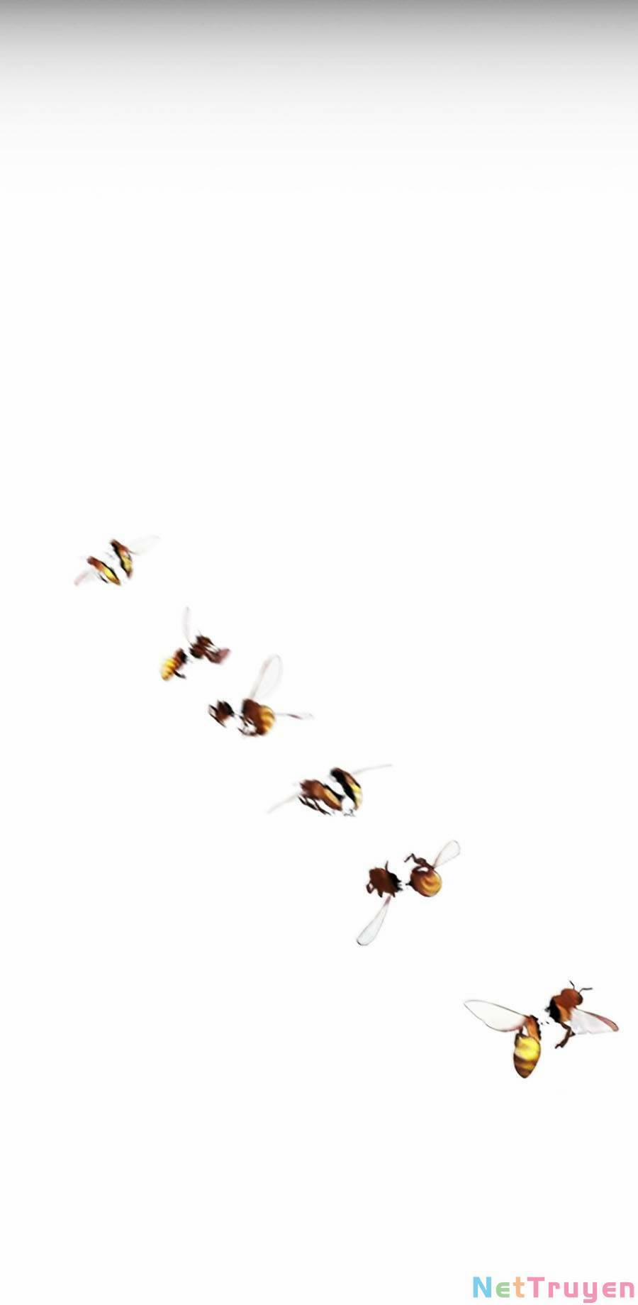 Hoán Đổi Diệu Kỳ 436 trang 101