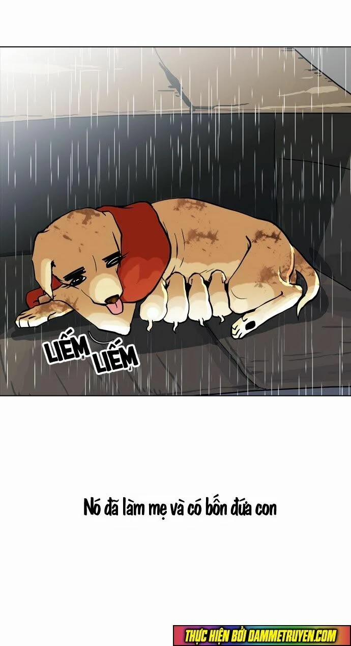 Hoán Đổi Diệu Kỳ 61 trang 14