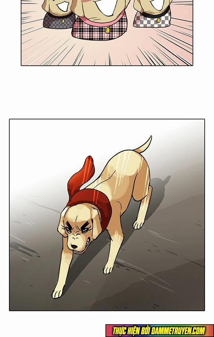 Hoán Đổi Diệu Kỳ 69 trang 33