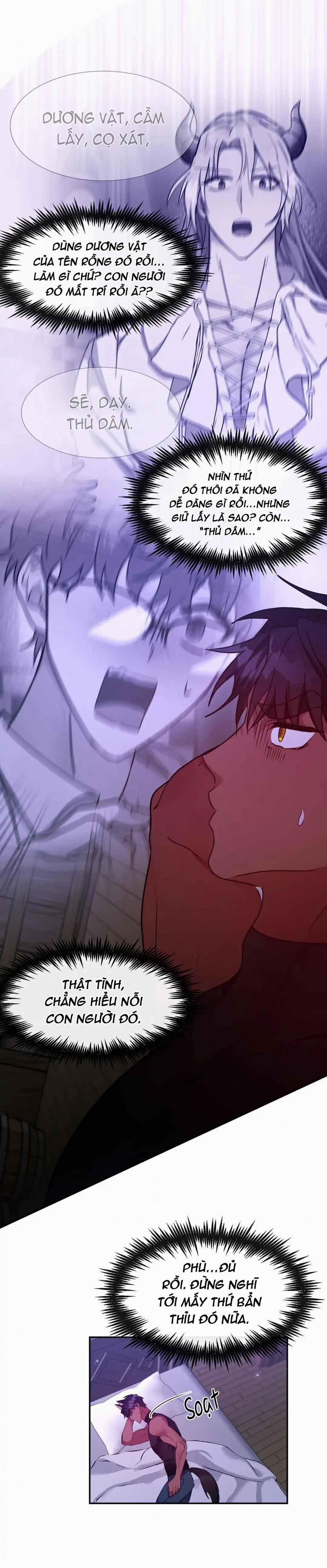 [HOÀN] Lâu Đài Tình Dục 13 trang 1