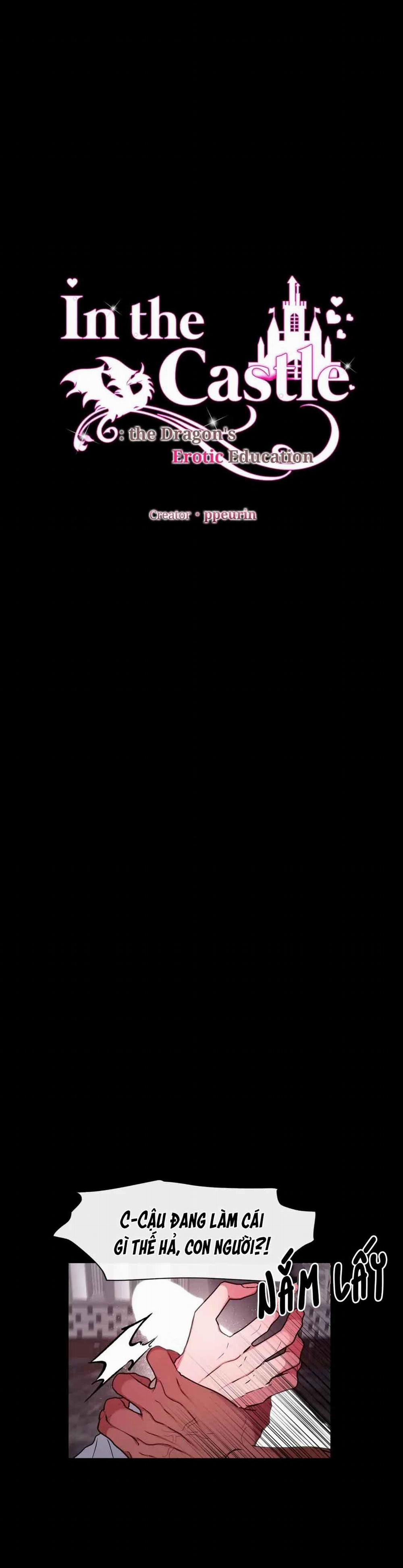 [HOÀN] Lâu Đài Tình Dục 13 trang 6