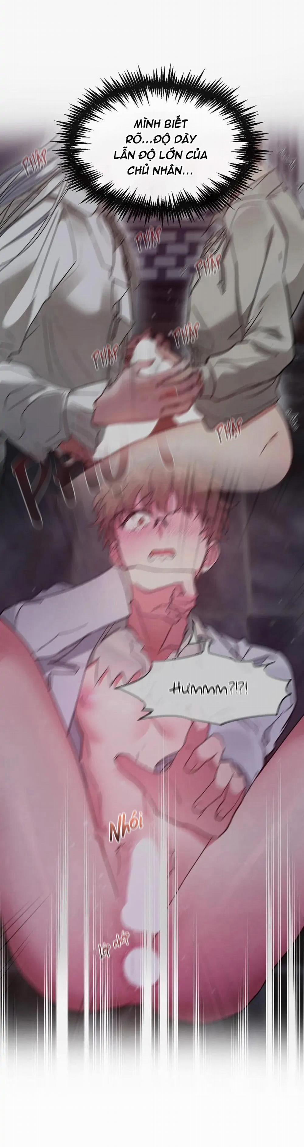 [HOÀN] Lâu Đài Tình Dục 15 trang 7