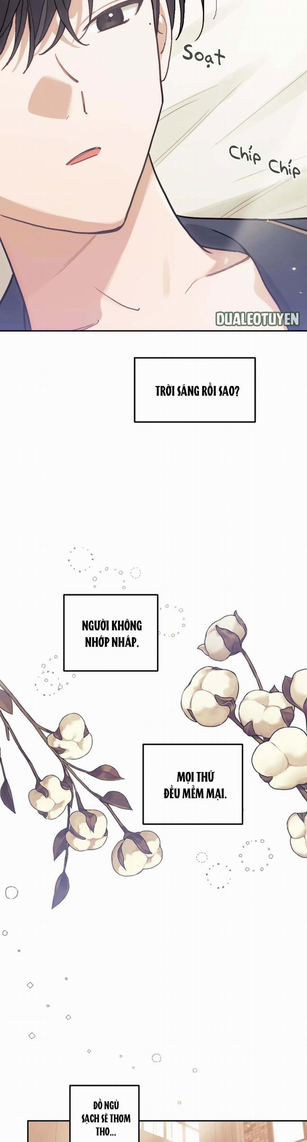 [HOÀN] Official Link 10 0 trang 12