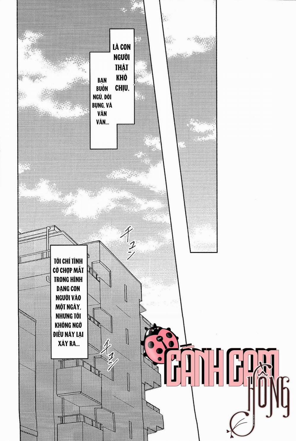 [HOÀN] Tuyển Tập Oneshot Siêu Thịt Chọn Lọc 6 Oneshot6 trang 2