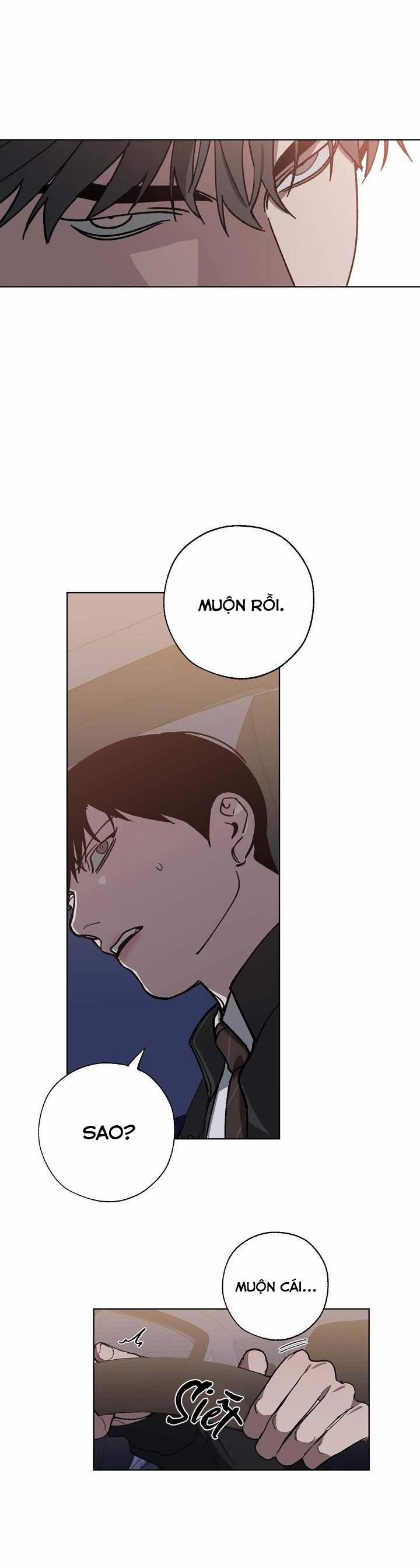 Hoán Vị 43 trang 8