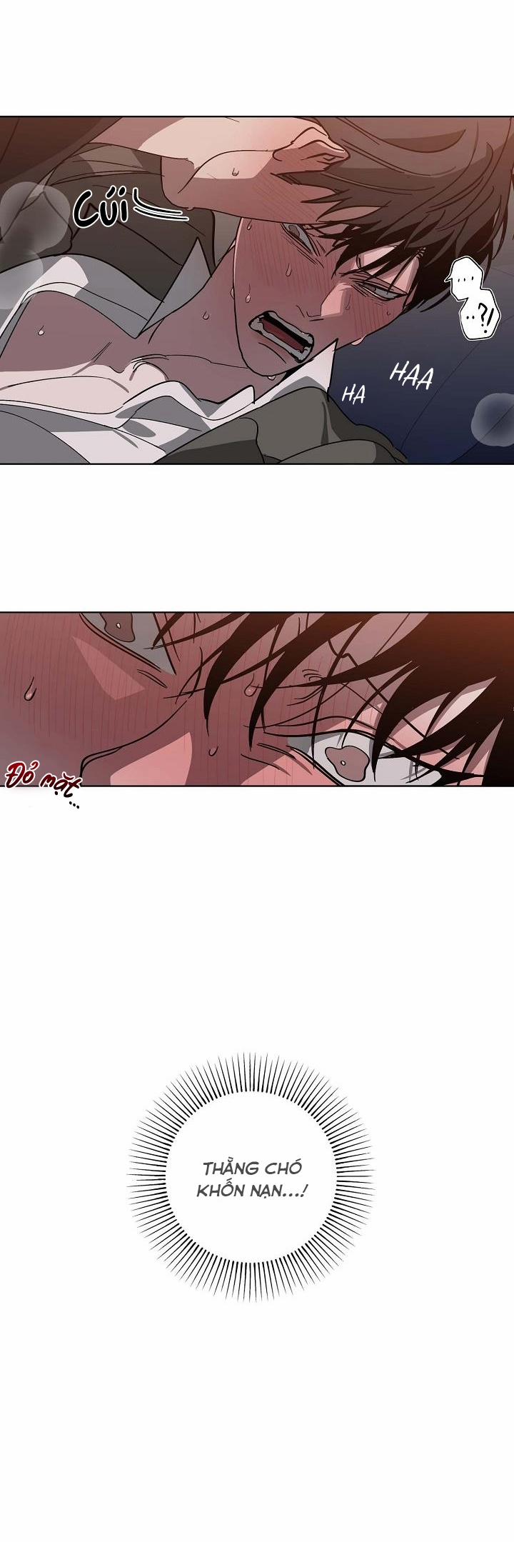 Hoán Vị 46 trang 16