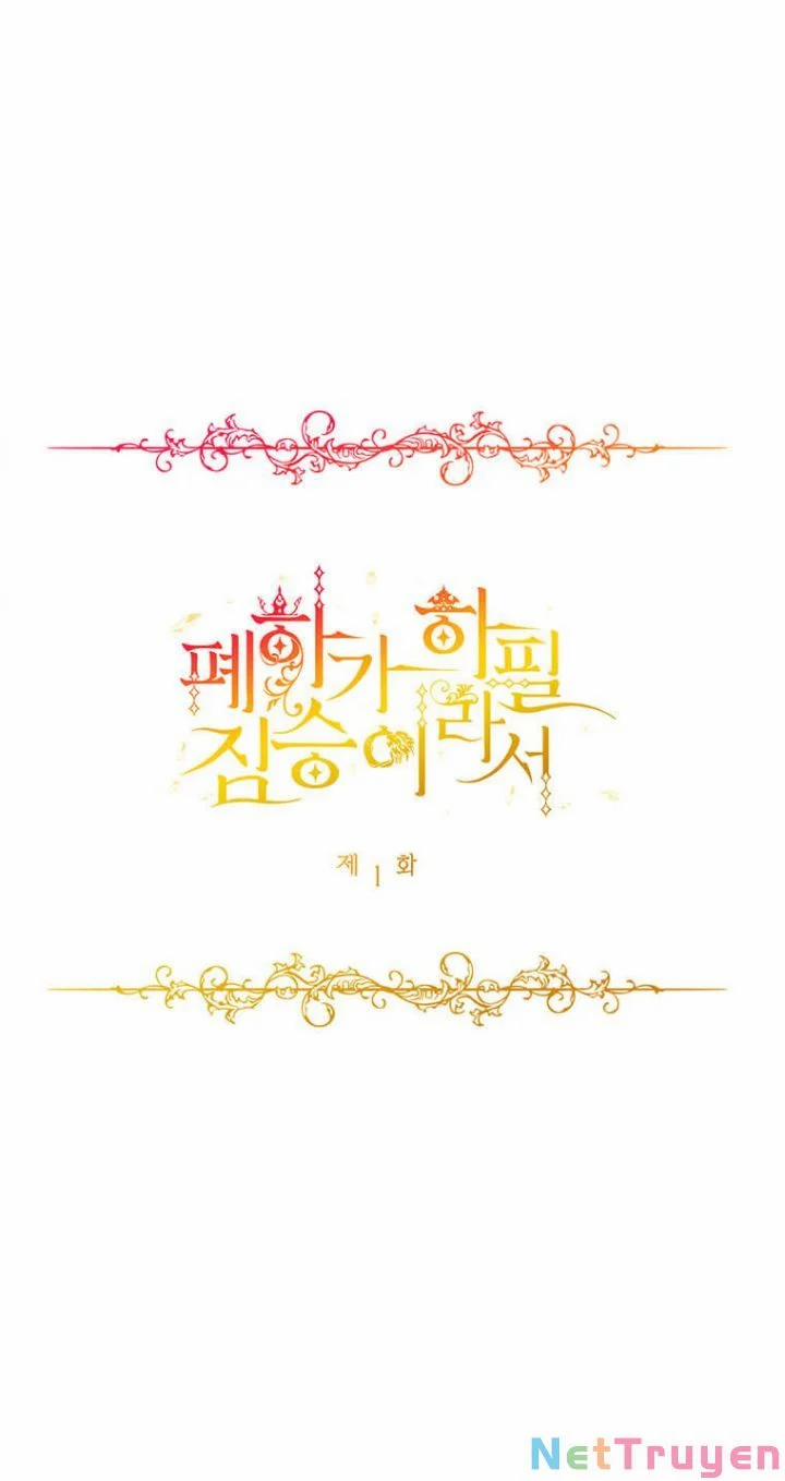 Hoàng Đế Bệ Hạ Là Mãnh Thú 1 trang 5