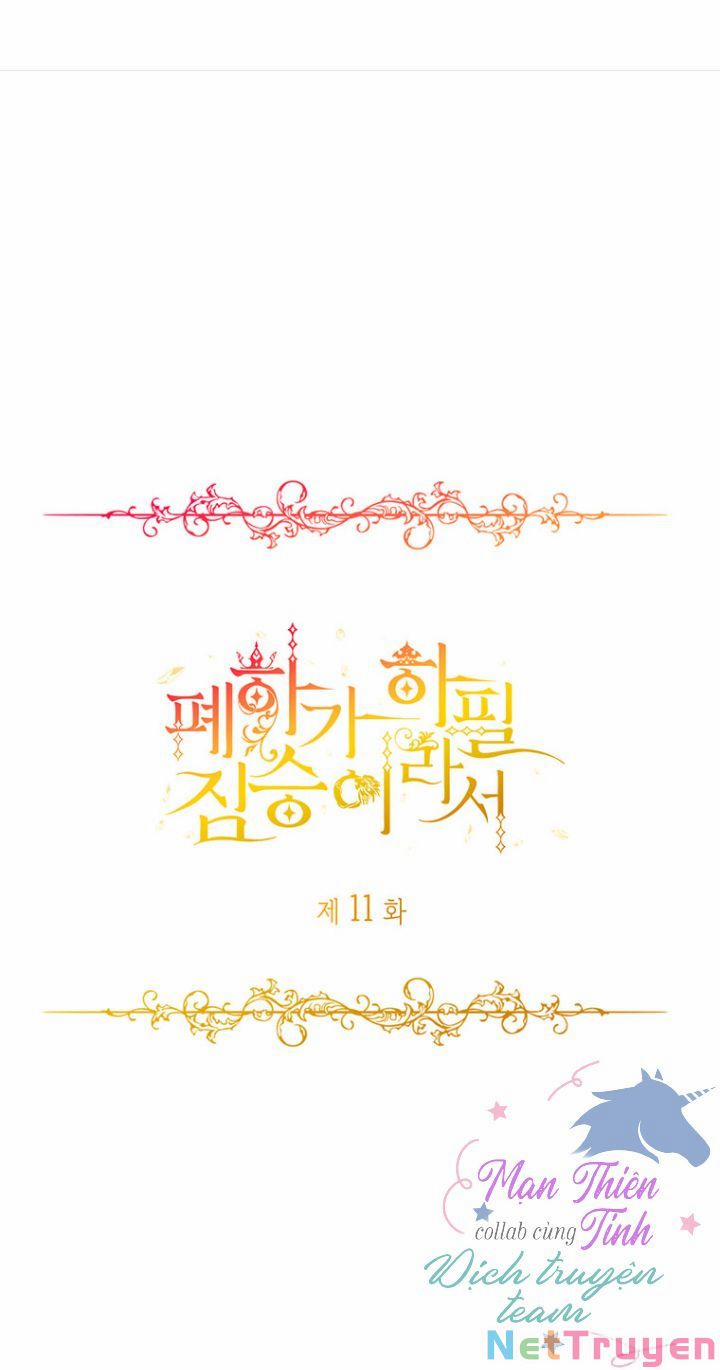 Hoàng Đế Bệ Hạ Là Mãnh Thú 11 trang 0