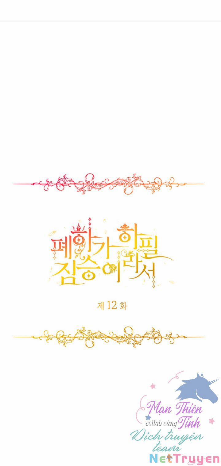 Hoàng Đế Bệ Hạ Là Mãnh Thú 12 trang 0