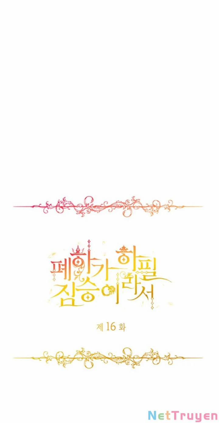 Hoàng Đế Bệ Hạ Là Mãnh Thú 16 trang 0