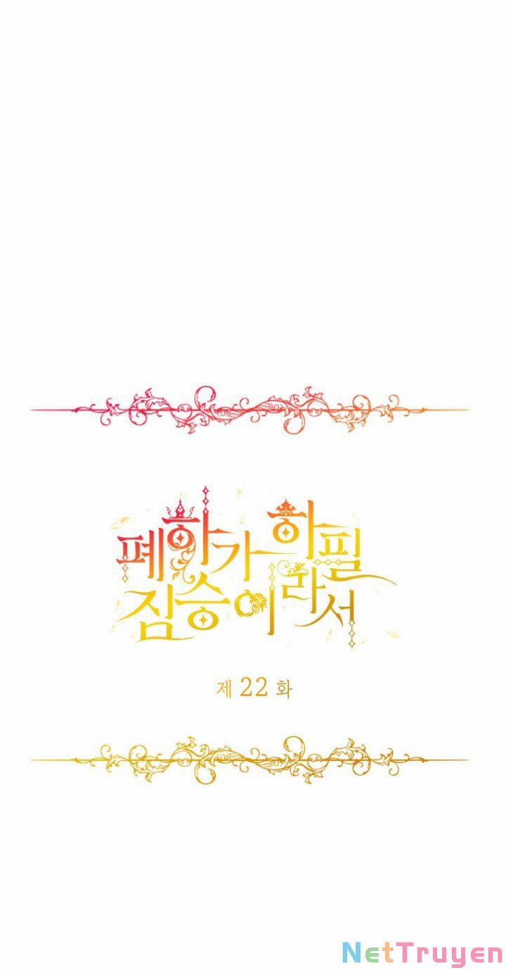 Hoàng Đế Bệ Hạ Là Mãnh Thú 22 trang 14