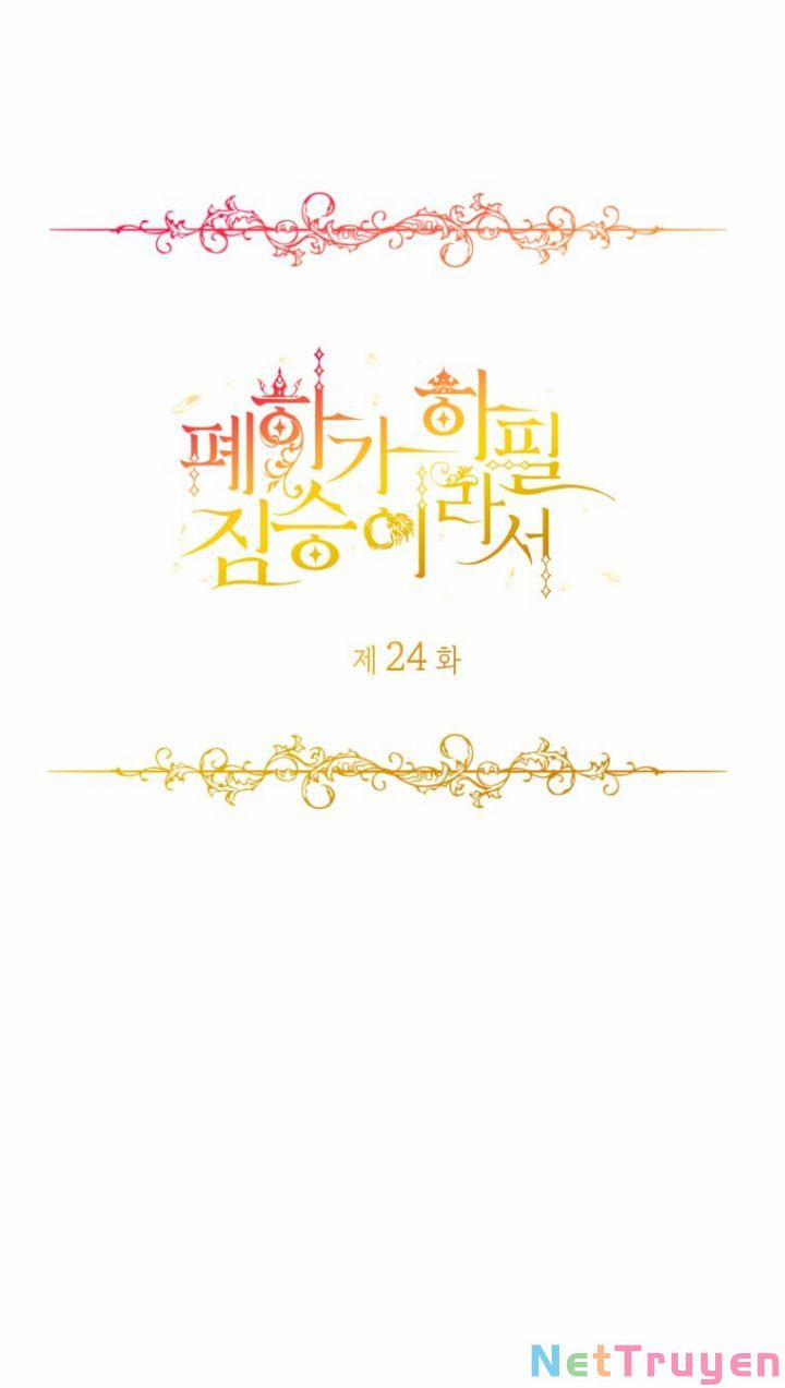 Hoàng Đế Bệ Hạ Là Mãnh Thú 24 trang 20