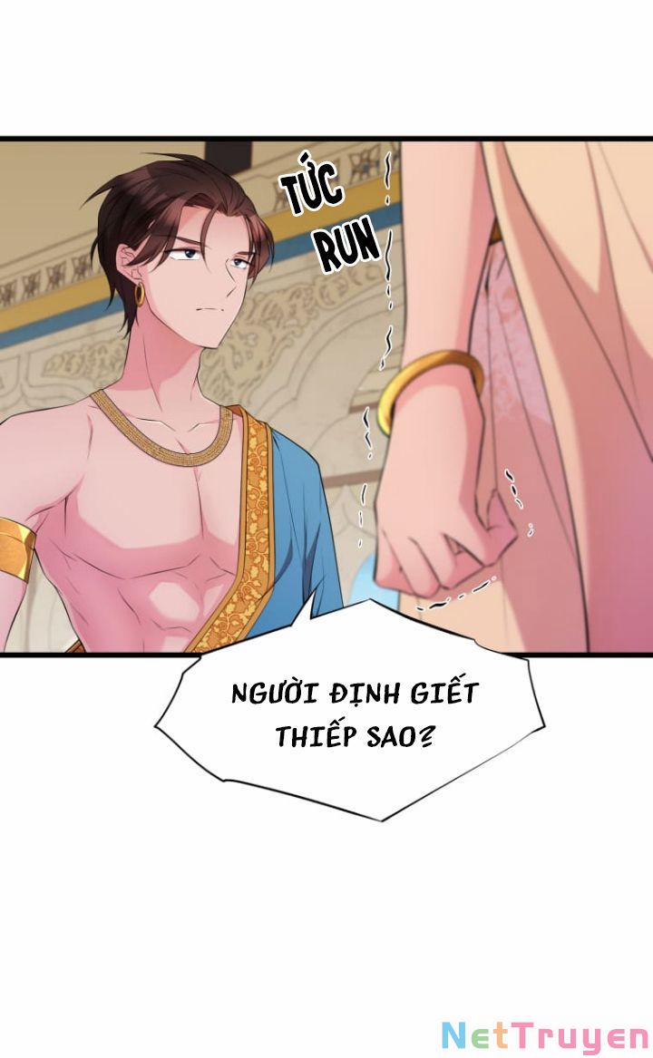 Hoàng Đế Bệ Hạ Là Mãnh Thú 24 trang 4