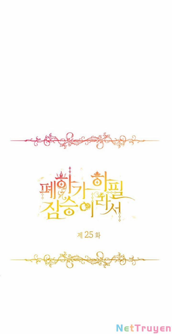 Hoàng Đế Bệ Hạ Là Mãnh Thú 25 trang 15