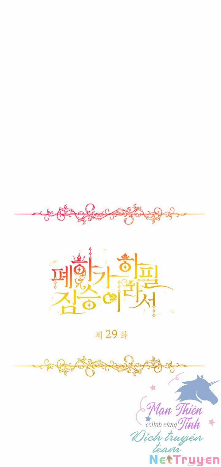 Hoàng Đế Bệ Hạ Là Mãnh Thú 29 trang 1