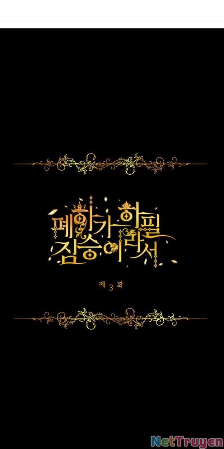 Hoàng Đế Bệ Hạ Là Mãnh Thú 3 trang 0