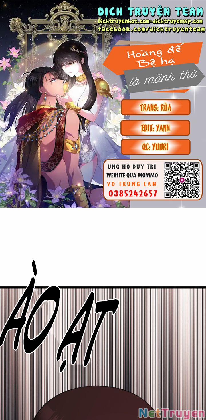 Hoàng Đế Bệ Hạ Là Mãnh Thú 40 trang 0