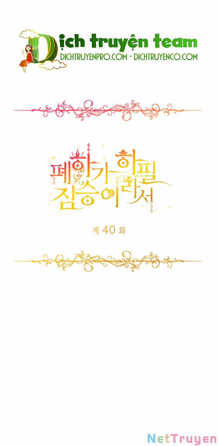 Hoàng Đế Bệ Hạ Là Mãnh Thú 40 trang 2