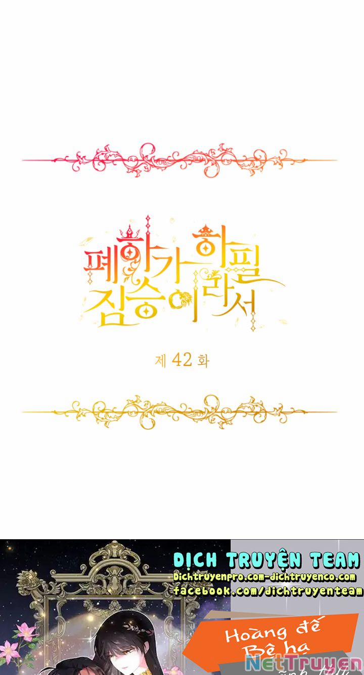 Hoàng Đế Bệ Hạ Là Mãnh Thú 42 trang 0