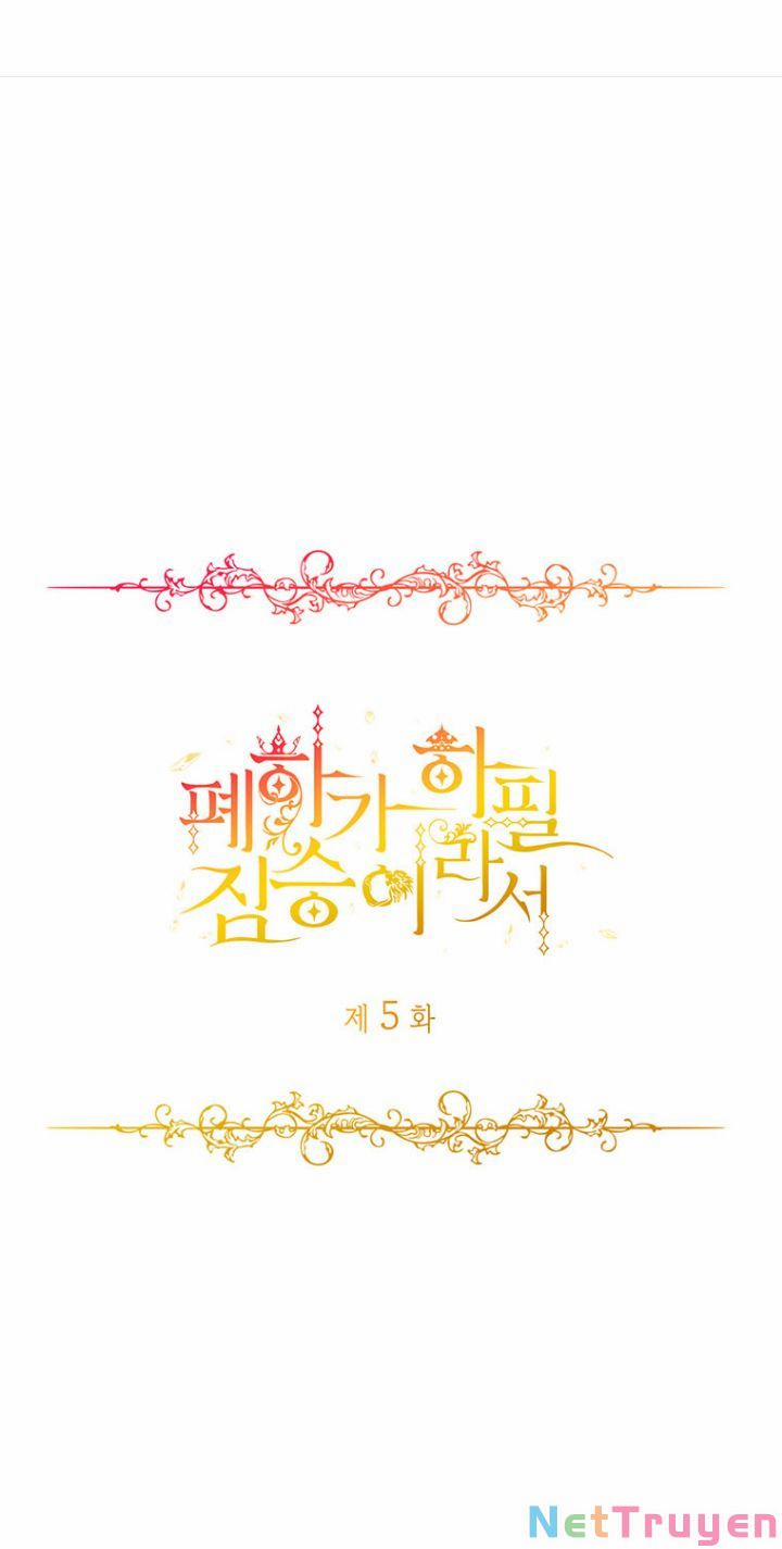 Hoàng Đế Bệ Hạ Là Mãnh Thú 5 trang 0