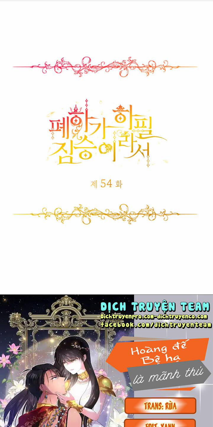 Hoàng Đế Bệ Hạ Là Mãnh Thú 54.3 trang 0