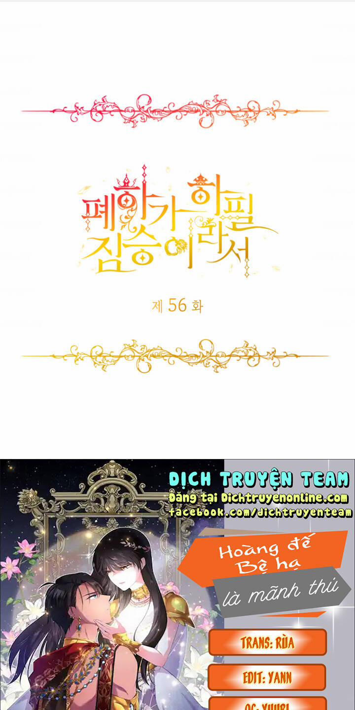 Hoàng Đế Bệ Hạ Là Mãnh Thú 56 trang 0