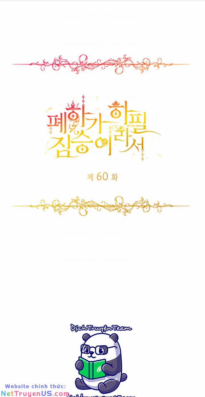 Hoàng Đế Bệ Hạ Là Mãnh Thú 60 trang 0