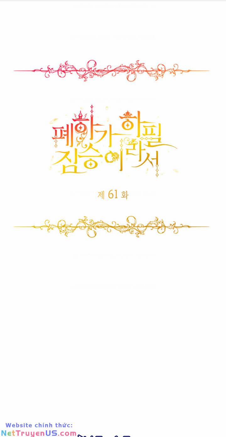 Hoàng Đế Bệ Hạ Là Mãnh Thú 61 trang 0