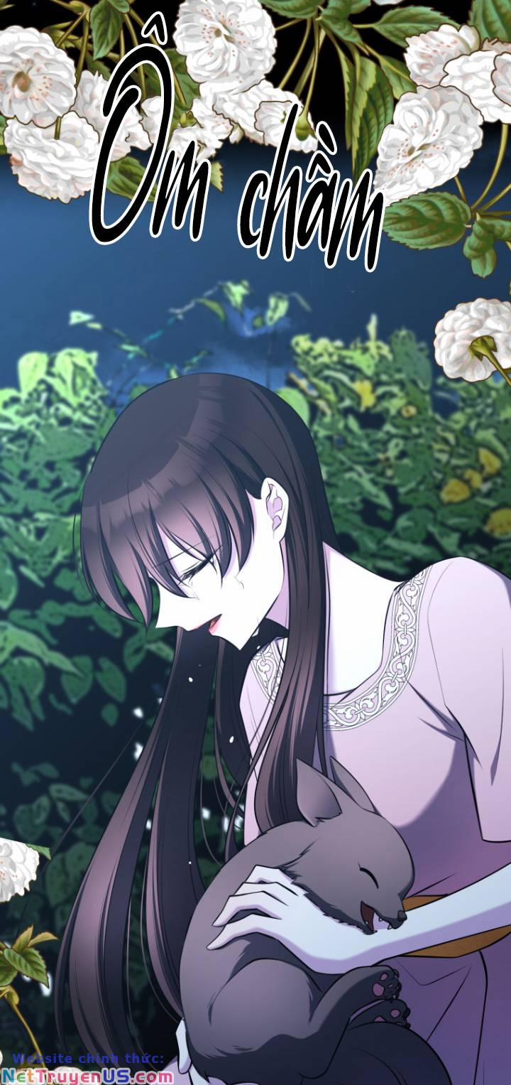 Hoàng Đế Bệ Hạ Là Mãnh Thú 62 trang 16