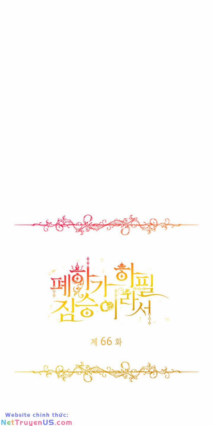 Hoàng Đế Bệ Hạ Là Mãnh Thú 66 trang 1